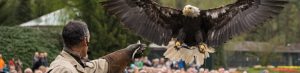 Weltvogelpark Walsrode